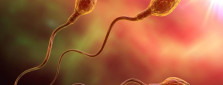 Sperm Donasyonu Nedir, Nasıl Yapılır?